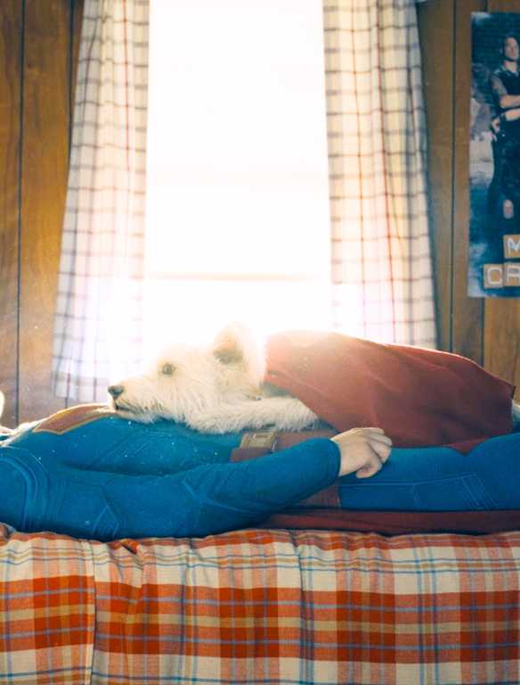 A New Superman Spinoff Story Just Dropped and You Can Stream It Free Right Now Superman in uniform in his childhood bed, sun coming through the window, Krypton lying on his belly and crotch from Superman 2025