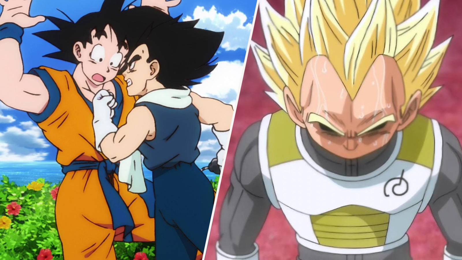 Dragon Ball Z: When Did Goku Stop Hating Vegeta?, image size:1600x900