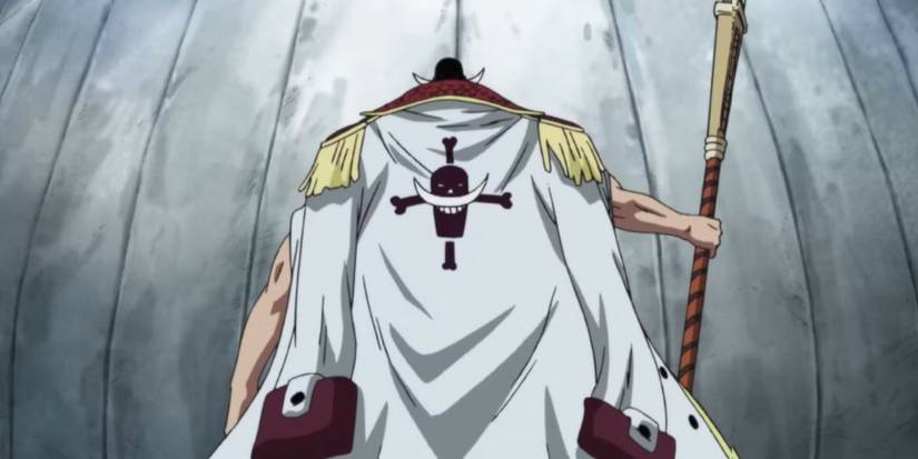 Barbe Blanche fait face à Moby Dick, affichant Jolly Roger sur sa cape dans l'arc de Marineford 