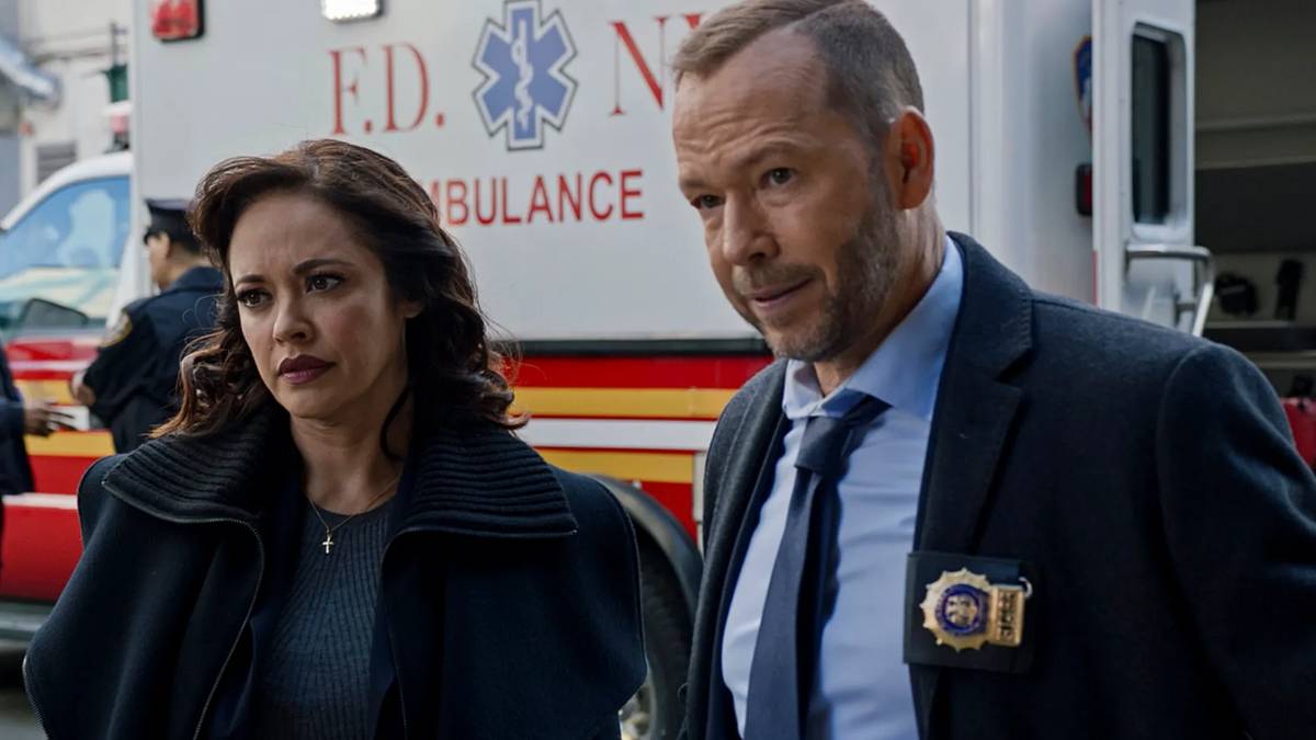 8 Years Later, Blue Bloods Fans Are Still Furious Over This Major Character  Death (& a Dark Theory Claims She Was Murdered)