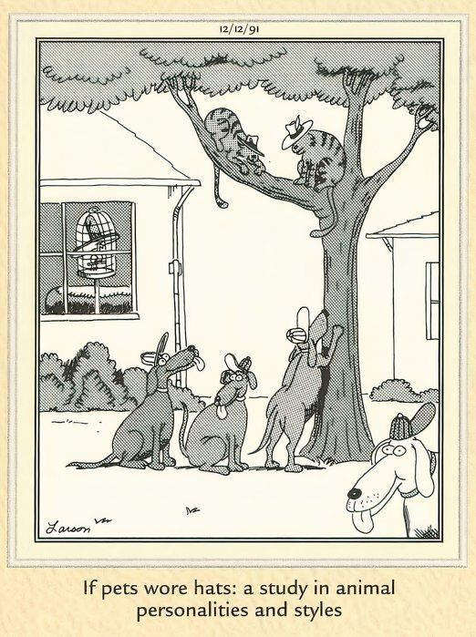 The Funniest Far Side Comics About Fashion, Ranked
