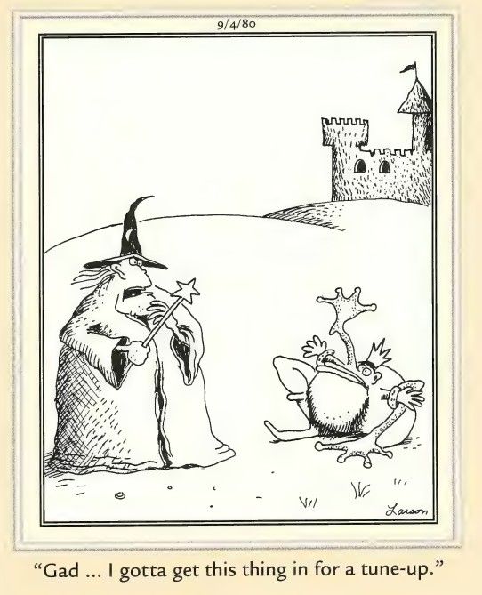 10 Funniest Far Side Comics That Have Witches and Magicians, Ranked