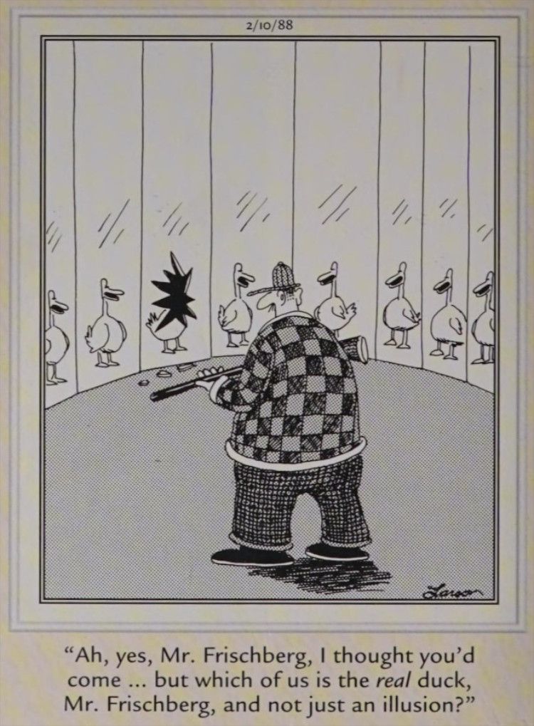 10 Funniest Far Side Comics That Have Witches and Magicians, Ranked