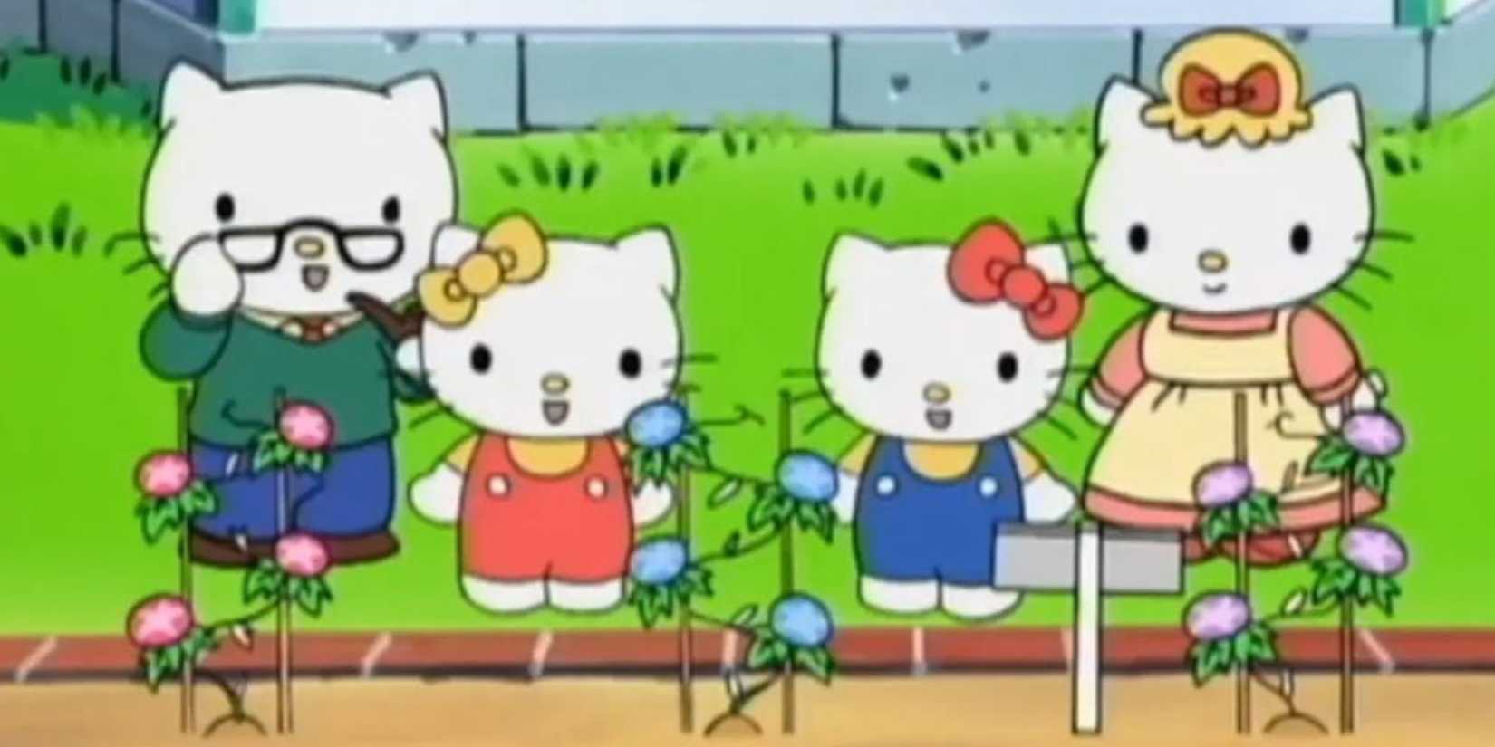Every Hello Kitty Anime Series, Ranked