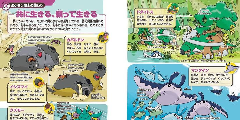 Everything You Need to Know About the Leaked Pokémon Ecology ...