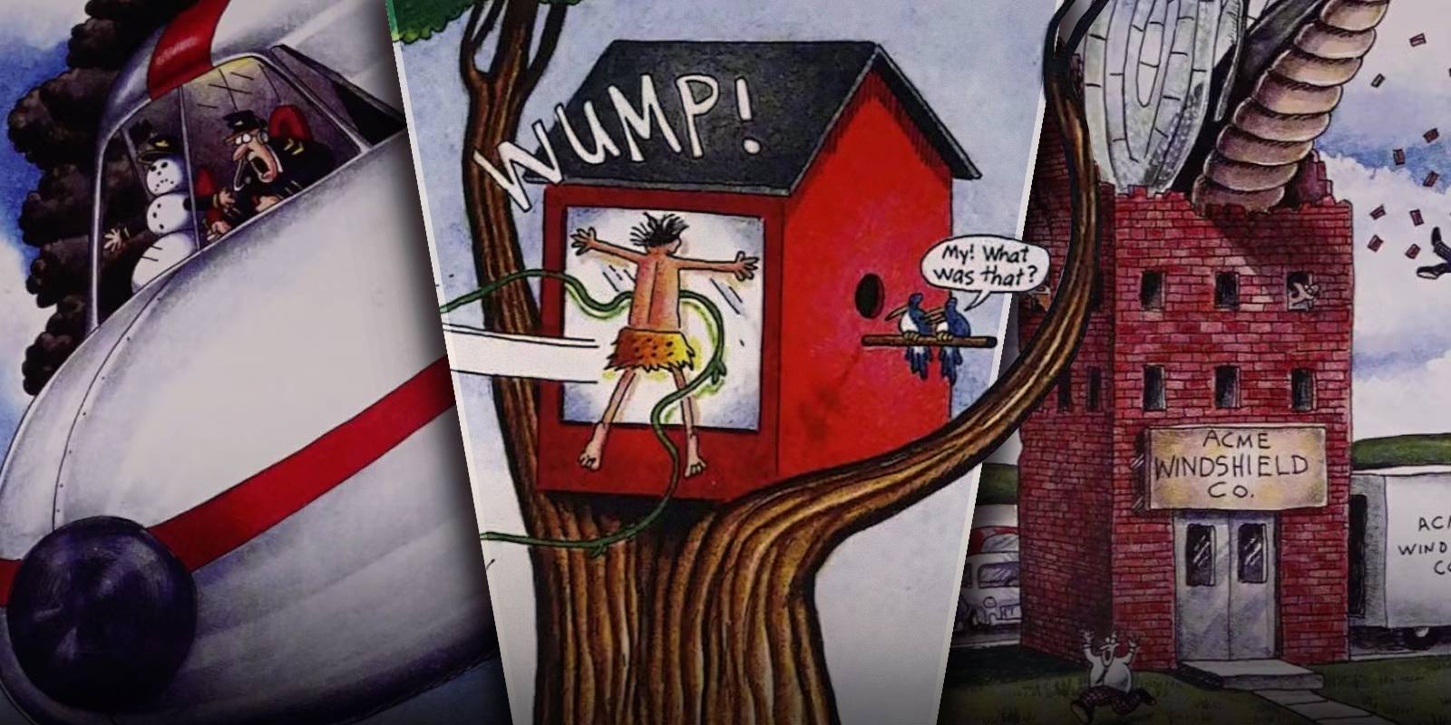 10 Most Memorable Aerial Accidents In The Far Side Comics, Ranked