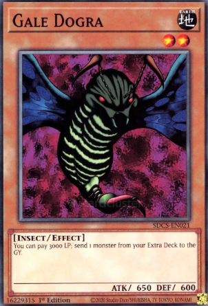 Yu-Gi-Oh!: 10 Strongest Insect-Type Cards, Ranked