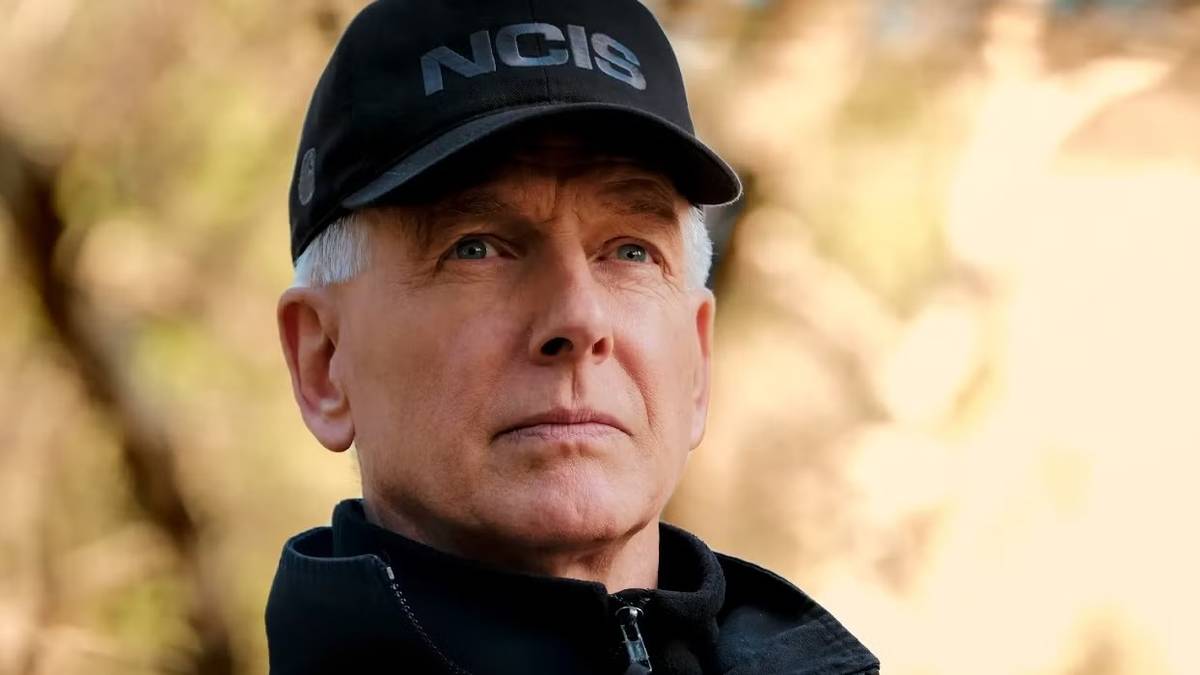 1 of the Longest-Running Gibbs Mysteries Was Actually Solved 14 Years ...
