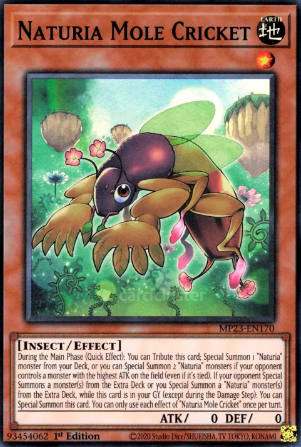 Yu-Gi-Oh!: 10 Strongest Insect-Type Cards, Ranked