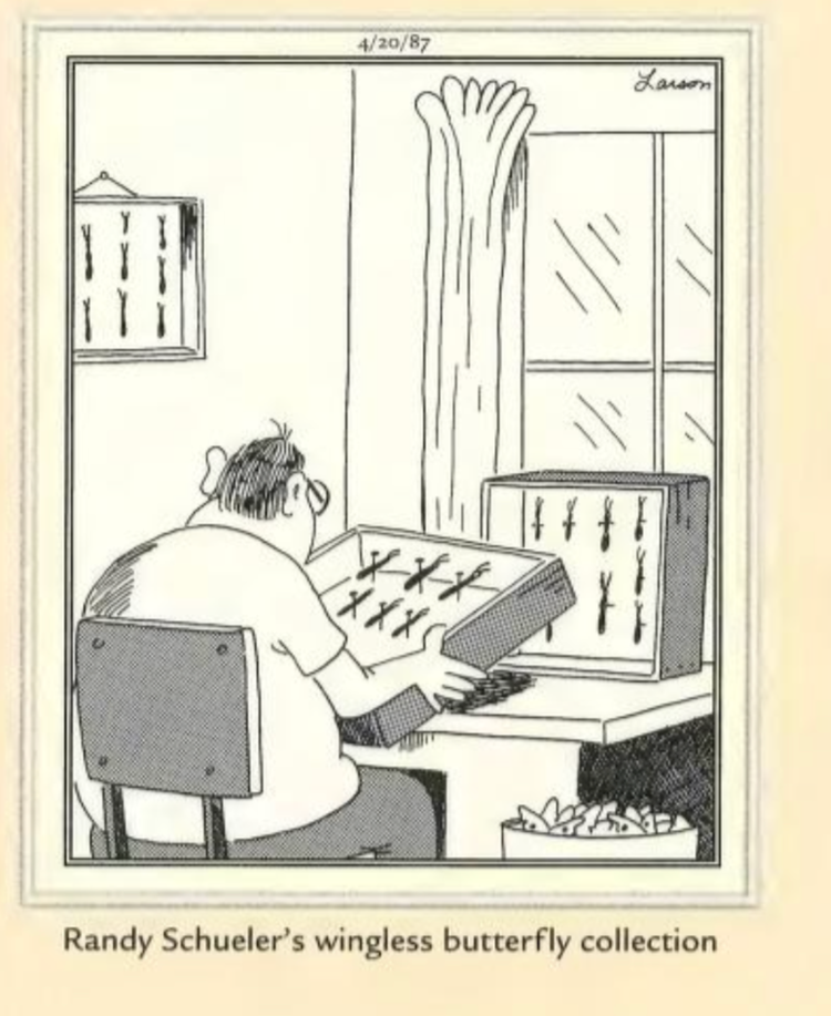 10 Funniest Far Side Comics featuring Butterflies, Ranked