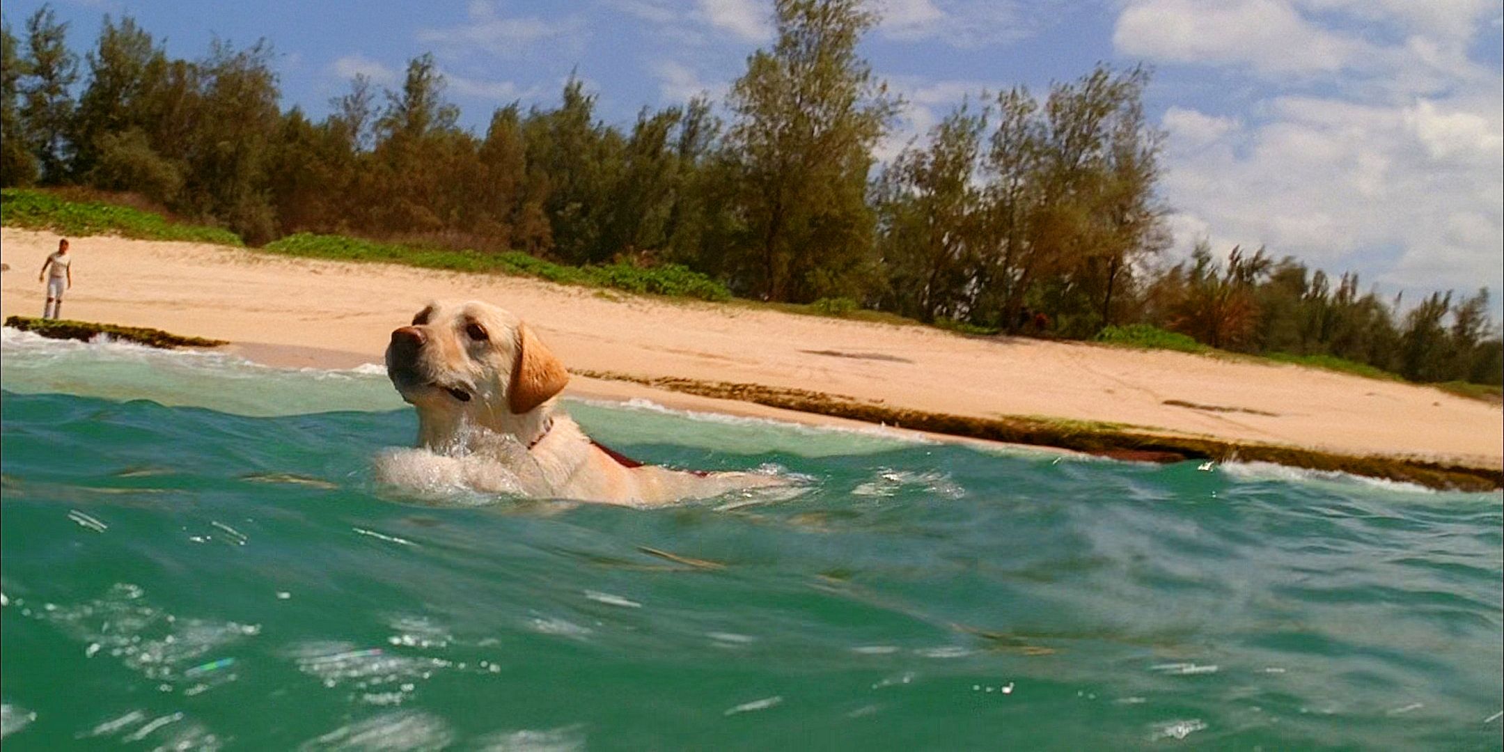 Lost's Most Tragic Character Never Let Anyone Down (& Fans Still Forget ...