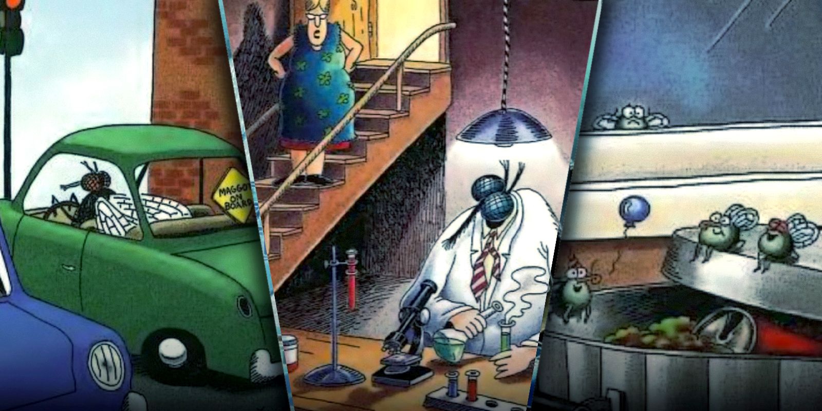 10 Funniest Far Side Comics featuring Flies, Ranked
