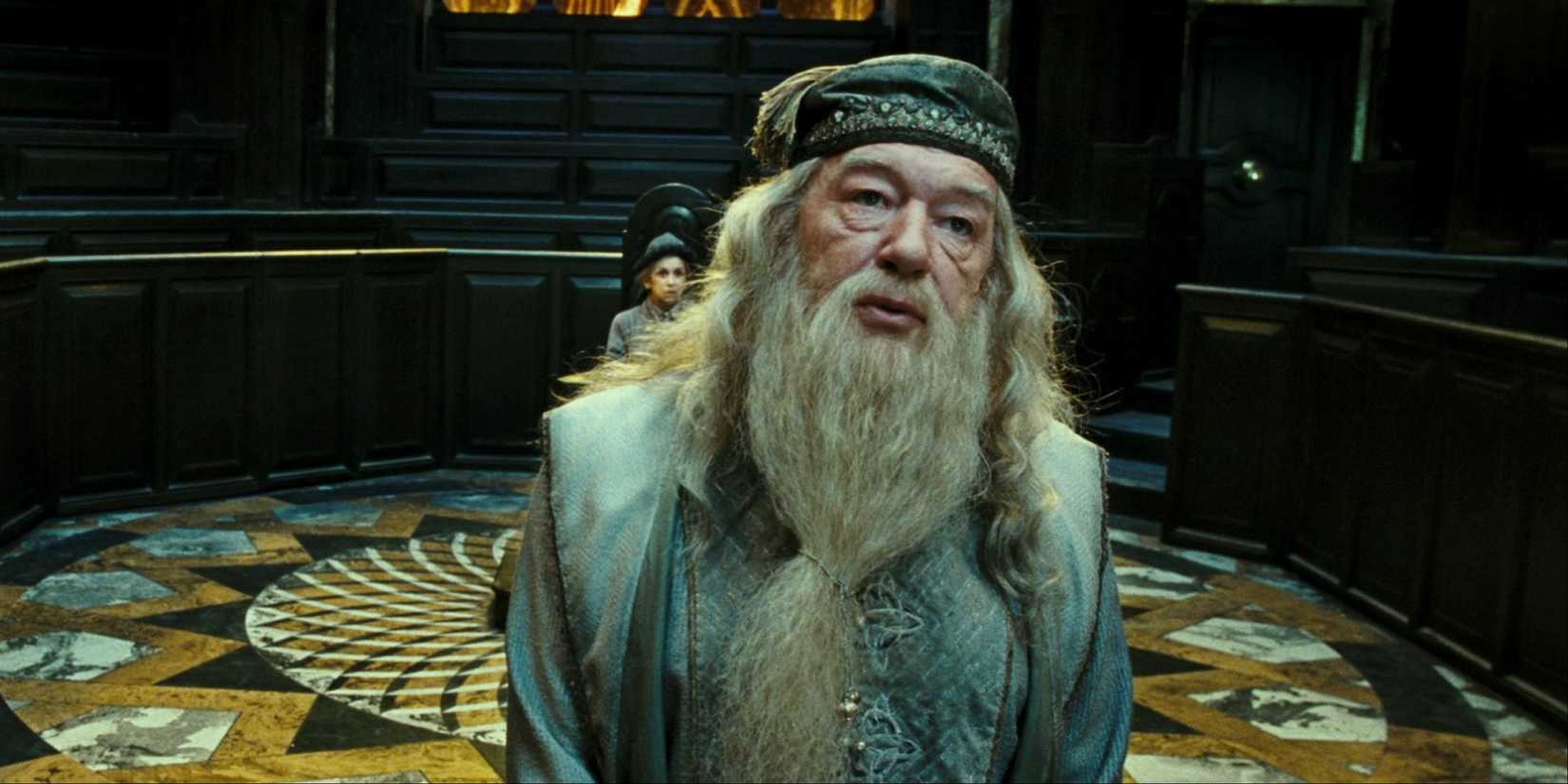 Dumbledore talks to the Wizengamot as Mrs. Figg sits behind him in Harry Potter and the Order of the Phoenix