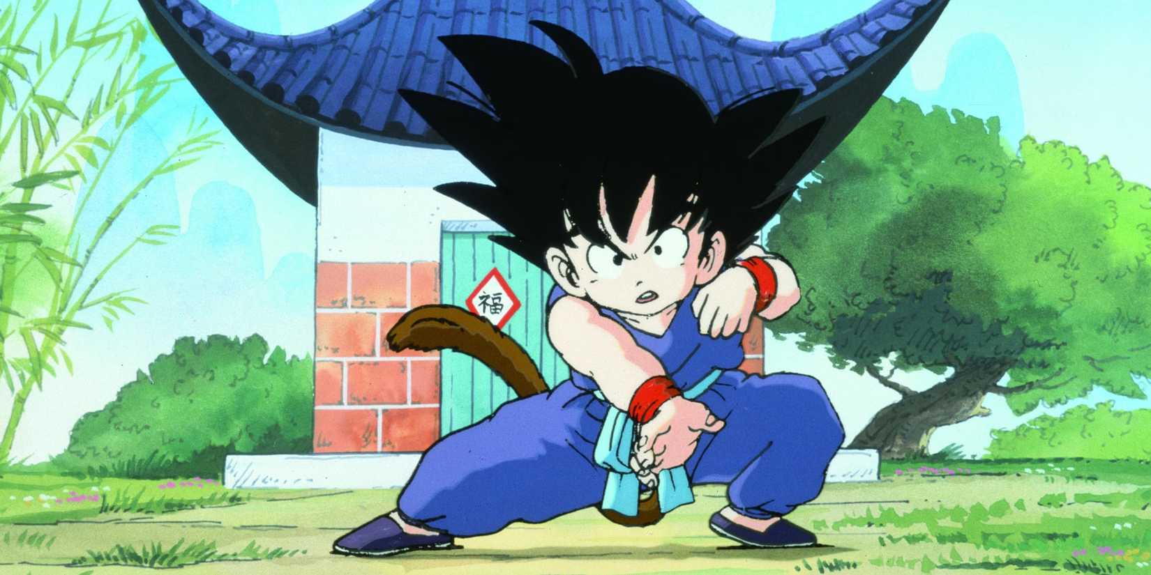 Goku in a position of martial arts in the Dragon Ball original.