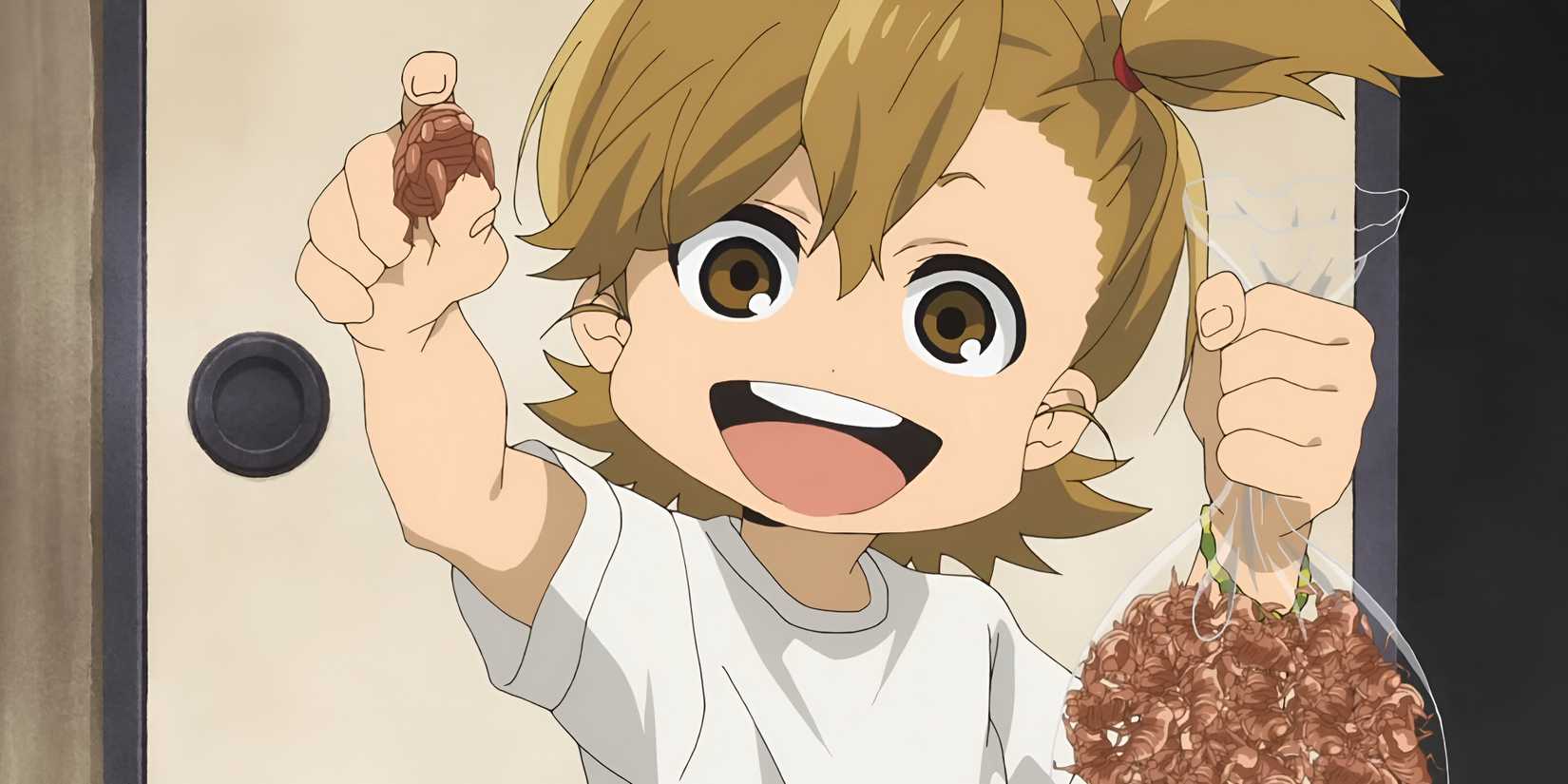 10 Anime Everyone Agrees Are Literally Perfect