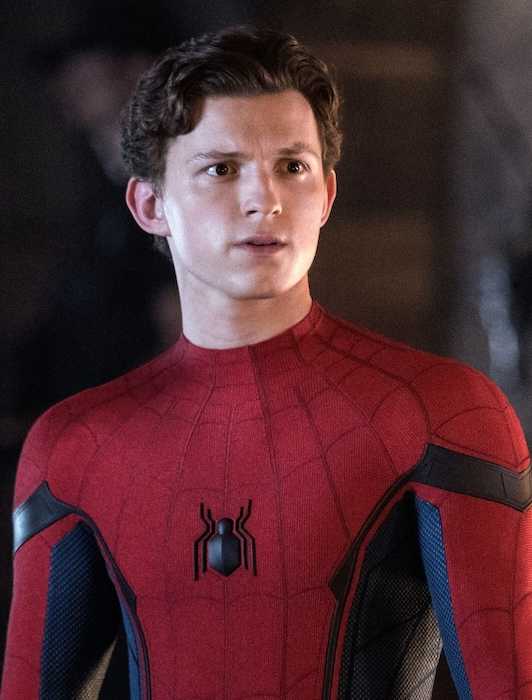 'WE WONNNNNN': Spider-Man Fans Lose Their Minds Over Reported Inclusion ...