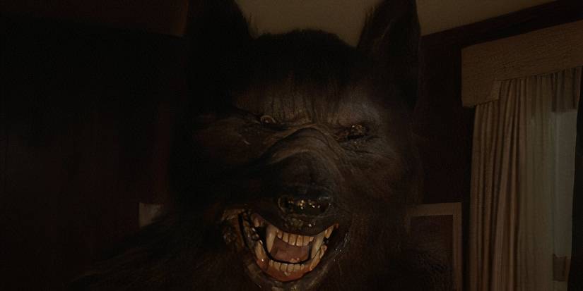 Silver Rounds Werewolf Stephen King's Silver Bullet Is a Must-Watch Werewolf Movie