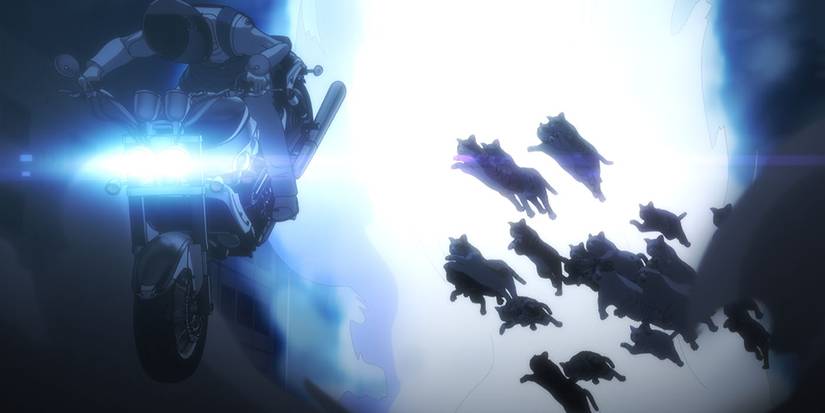Cats chase a motorcycle into the sky in Nyaight of the Living Cat anime