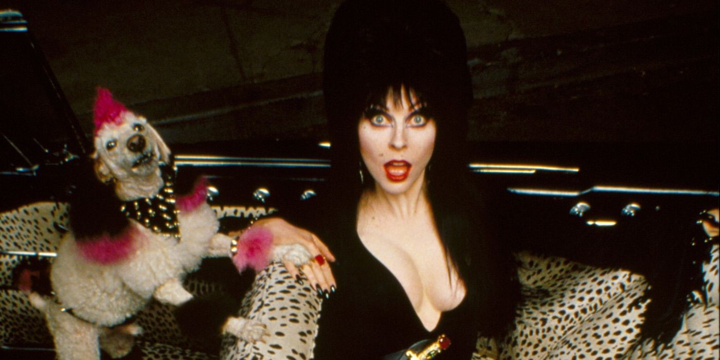 Elvira and the dog in Elvira Mistress of the Dark