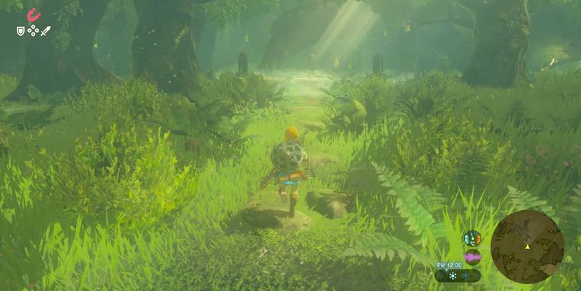 Link traveling through Korok Forest in the Switch 2 version of The Legend of Zelda: Breath of the Wild