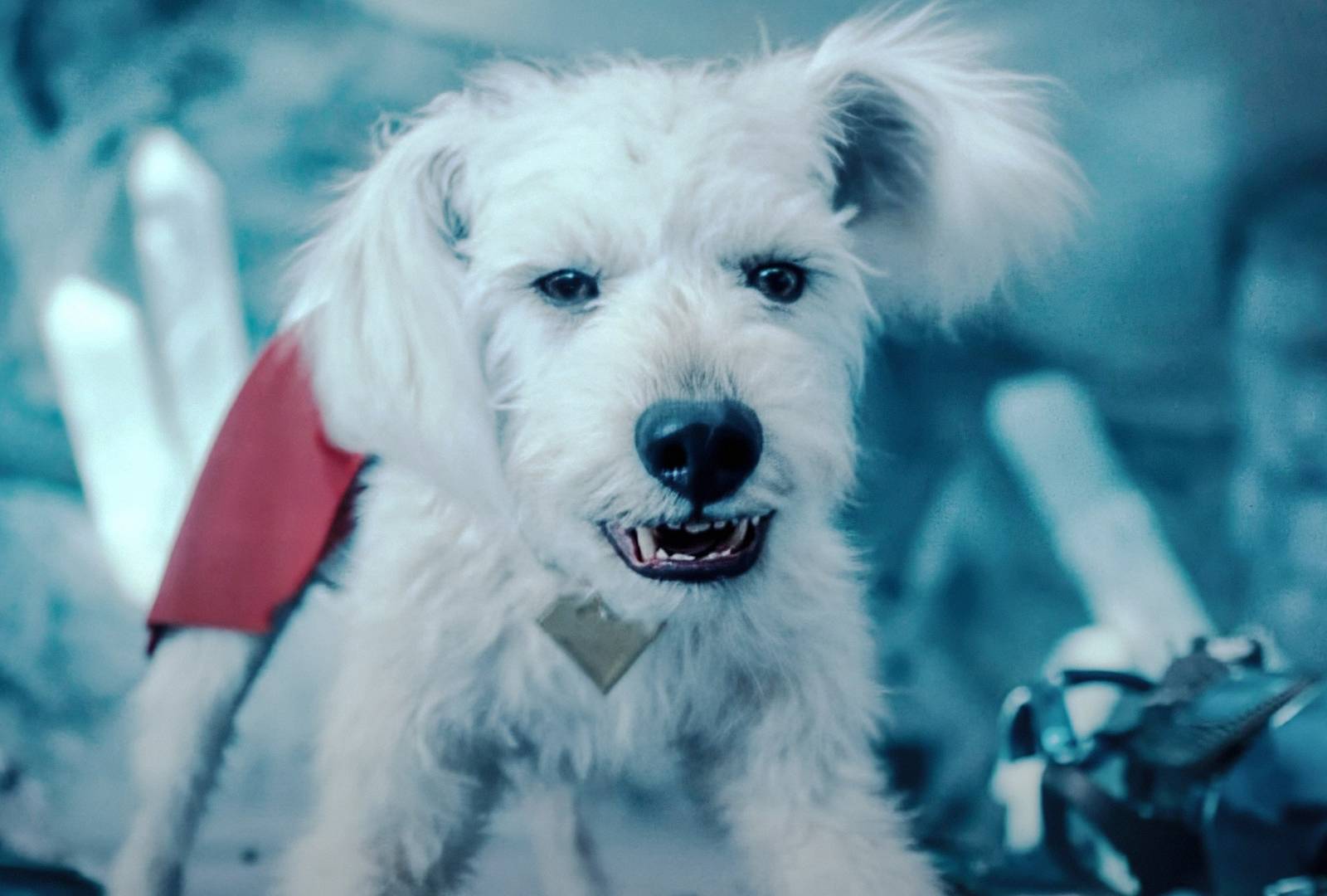 Does Krypto Die in Supergirl? Fans Already Are Concerned