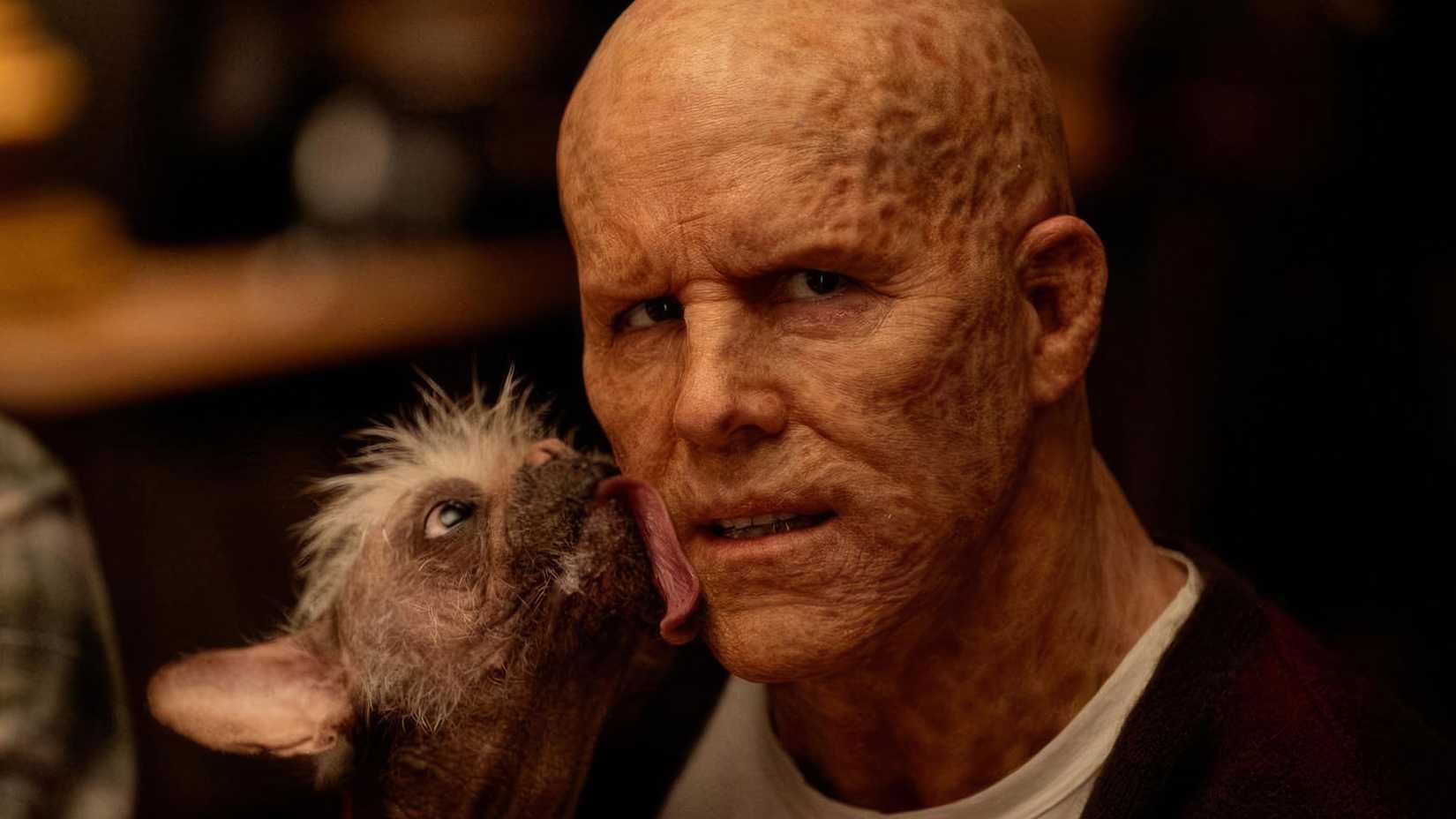 Ryan Reynolds as Wade Wilson with Dogpool from Deadpool and Wolverine