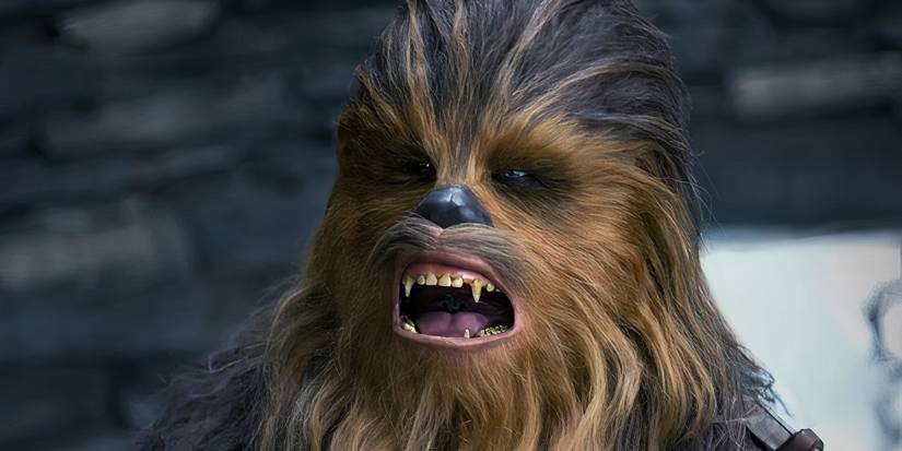 Chewbacca defends his friends in Star Wars.