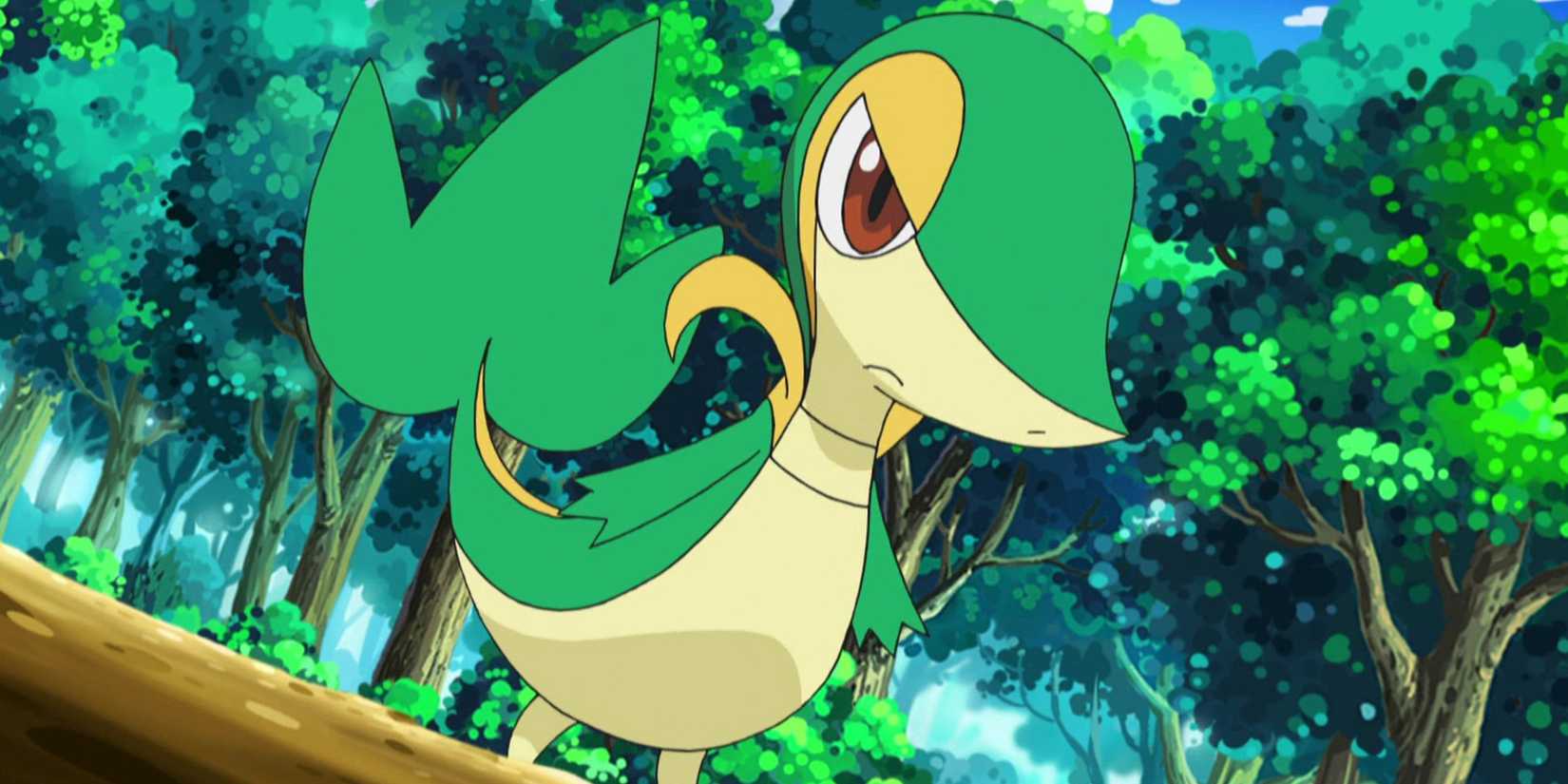 10 Most Pointless Pokémon Fights That Still Have Fans Scratching Their ...