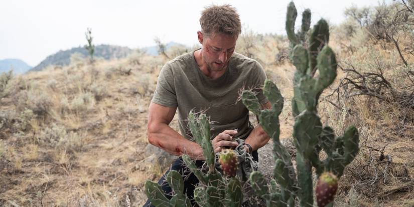 Justin Hartley as Colter Shaw getting water from a cactus in Tracker 'No Man's Land'