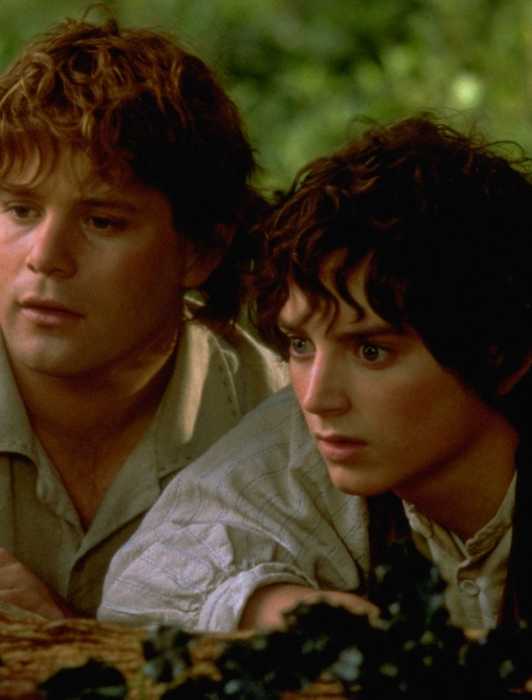 Frodo Timeline 1 Lord of the Rings Star Secretly Played Their Character 20 Years ...