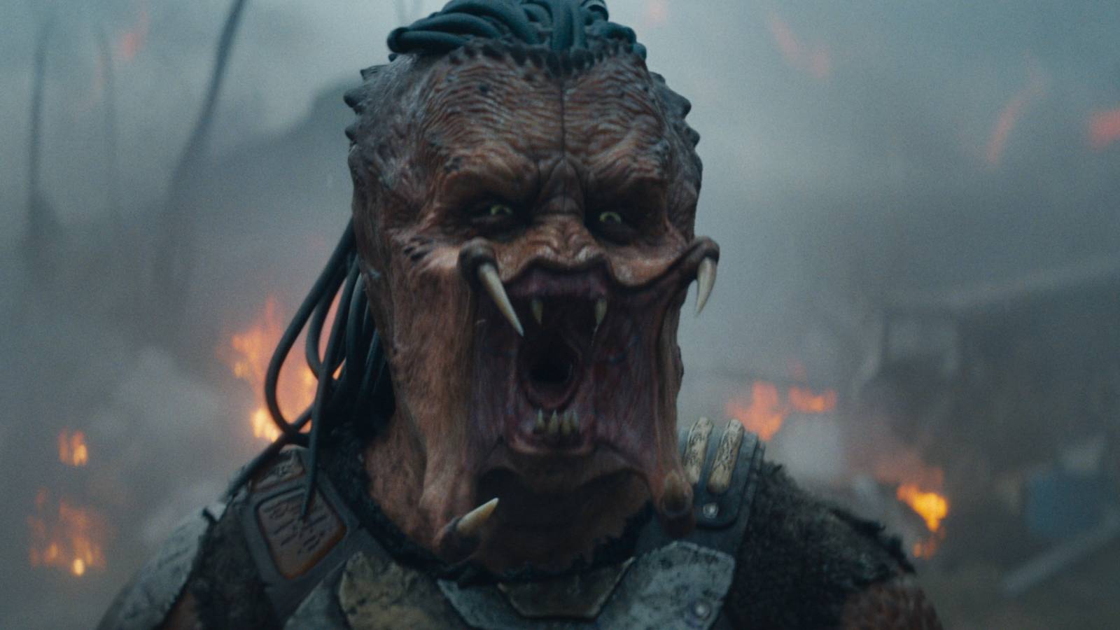 28 Years Ago, The Predator Fought The Greatest Crossover Grudge Match And ...