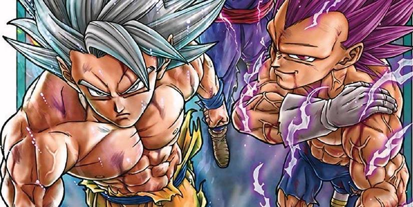 Ultra Instinct Goku and Ultra Ego Vegeta on the cover of Dragon Ball Super Vol. 24.