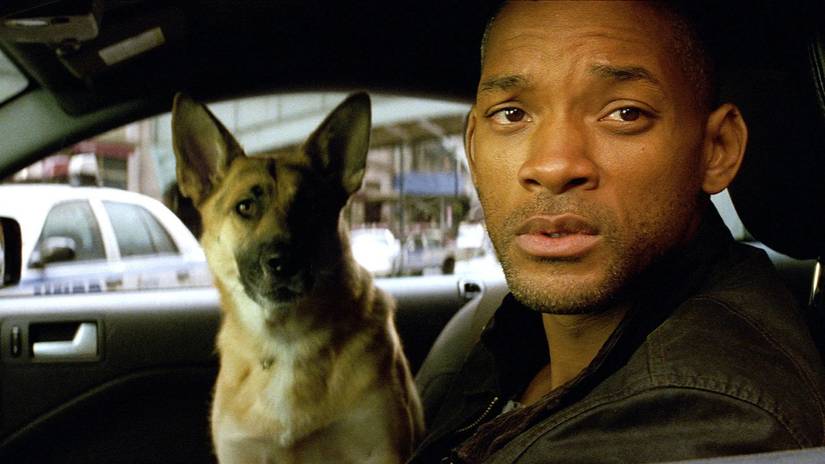 Will Smith as Robert Neville sitting in a car with his dog in I Am Legend