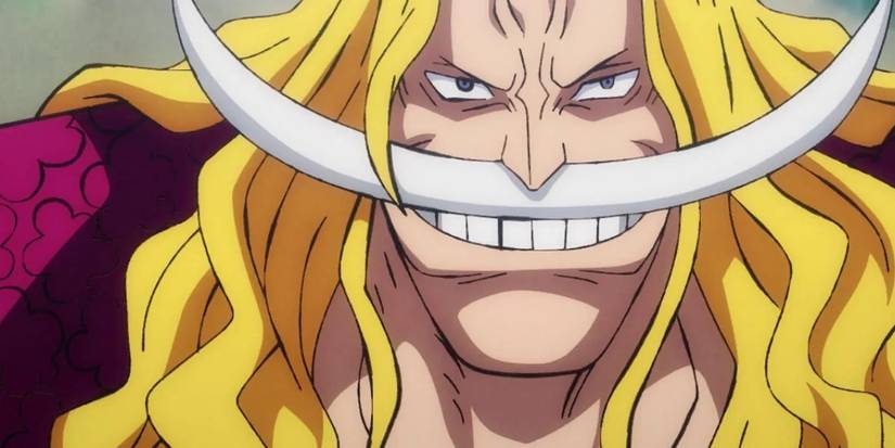 Le jeune Edward Newgate, alias Barbe Blanche, à God Valley