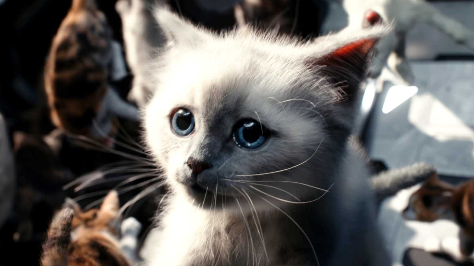 Close up of a flerken kitten floating in an escape pod in The Marvels