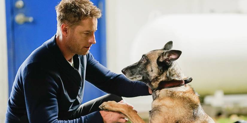 Justin Hartley as Colter finding a lost dog in Tracker 'Man's Best Friend'