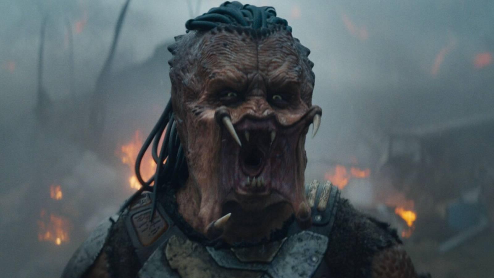 February Will Be a Great Month for Predator Fans