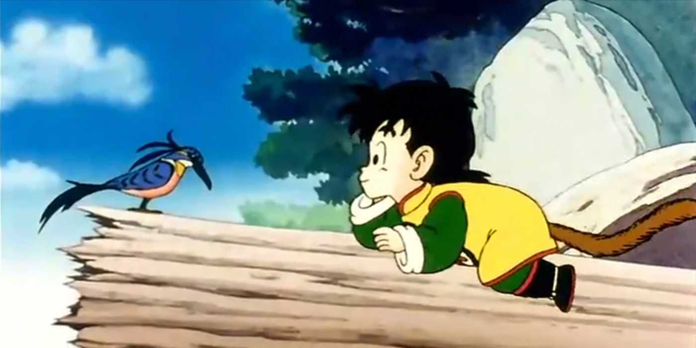 Dans l'épisode 1 de Dragon Ball Z, Gohan admire un oiseau