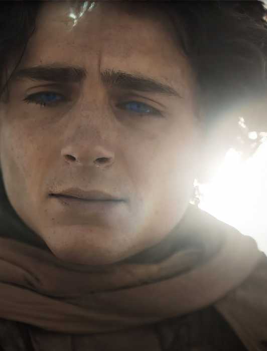 How Long Do Elves Live in The Lord of the Rings?