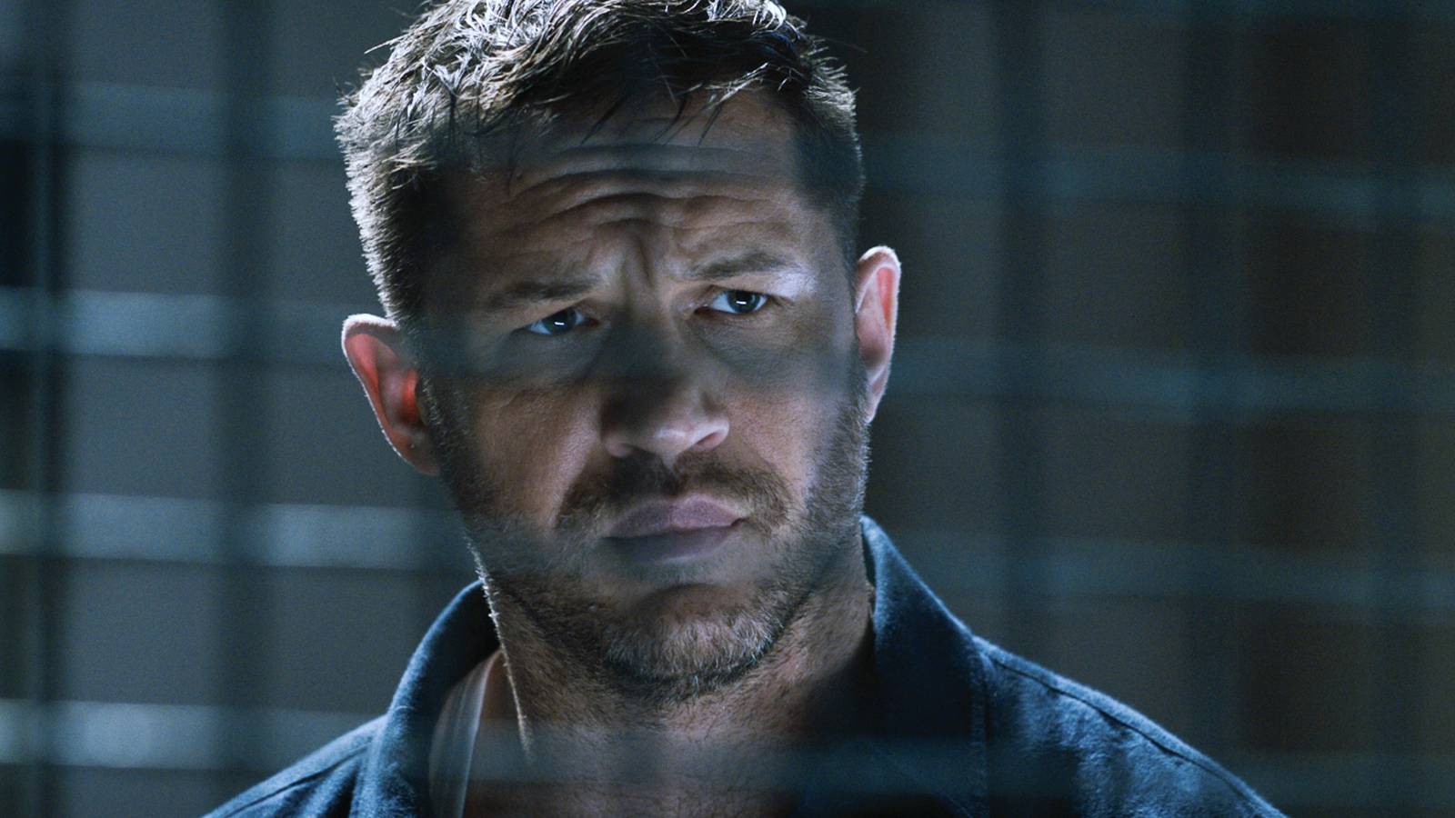 Venom: Let There Be Carnage entwickelt sich still und leise zum ...