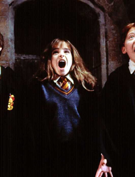 Ron Screaming The Best Quote From Each Harry Potter Film (And Why They're So Iconic)