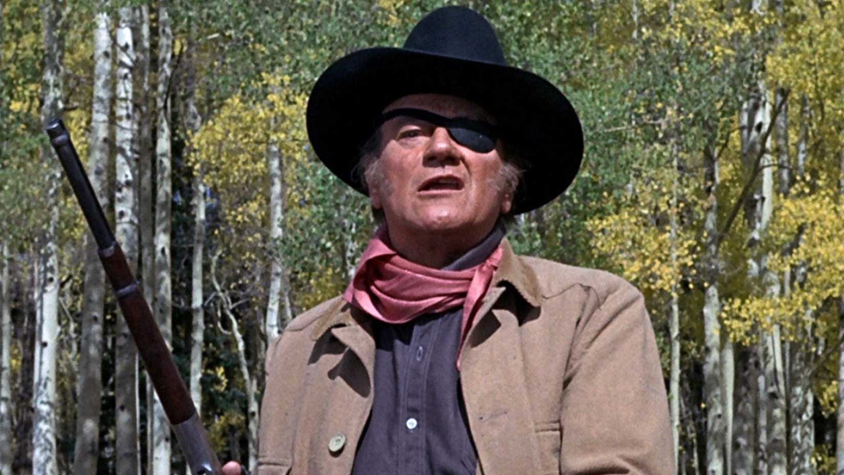 Oscar Winning Westerns For Fans Of Wyatt Earp And Tombstone