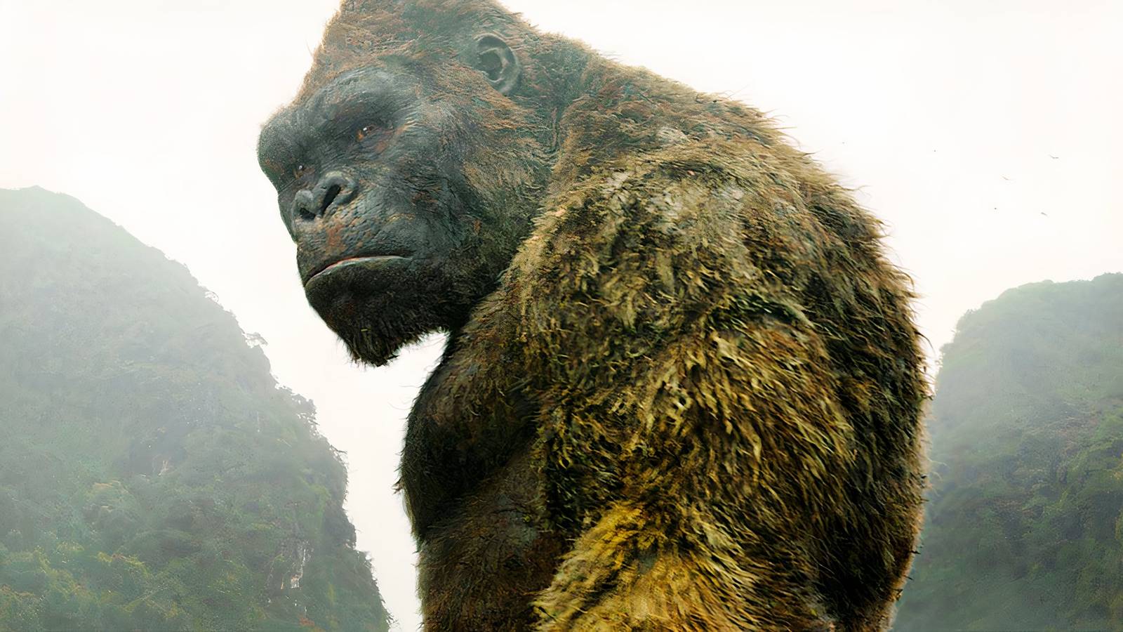 Monsterverse Saga Focused on King Kong Returns with New Story After 2-Year Absence