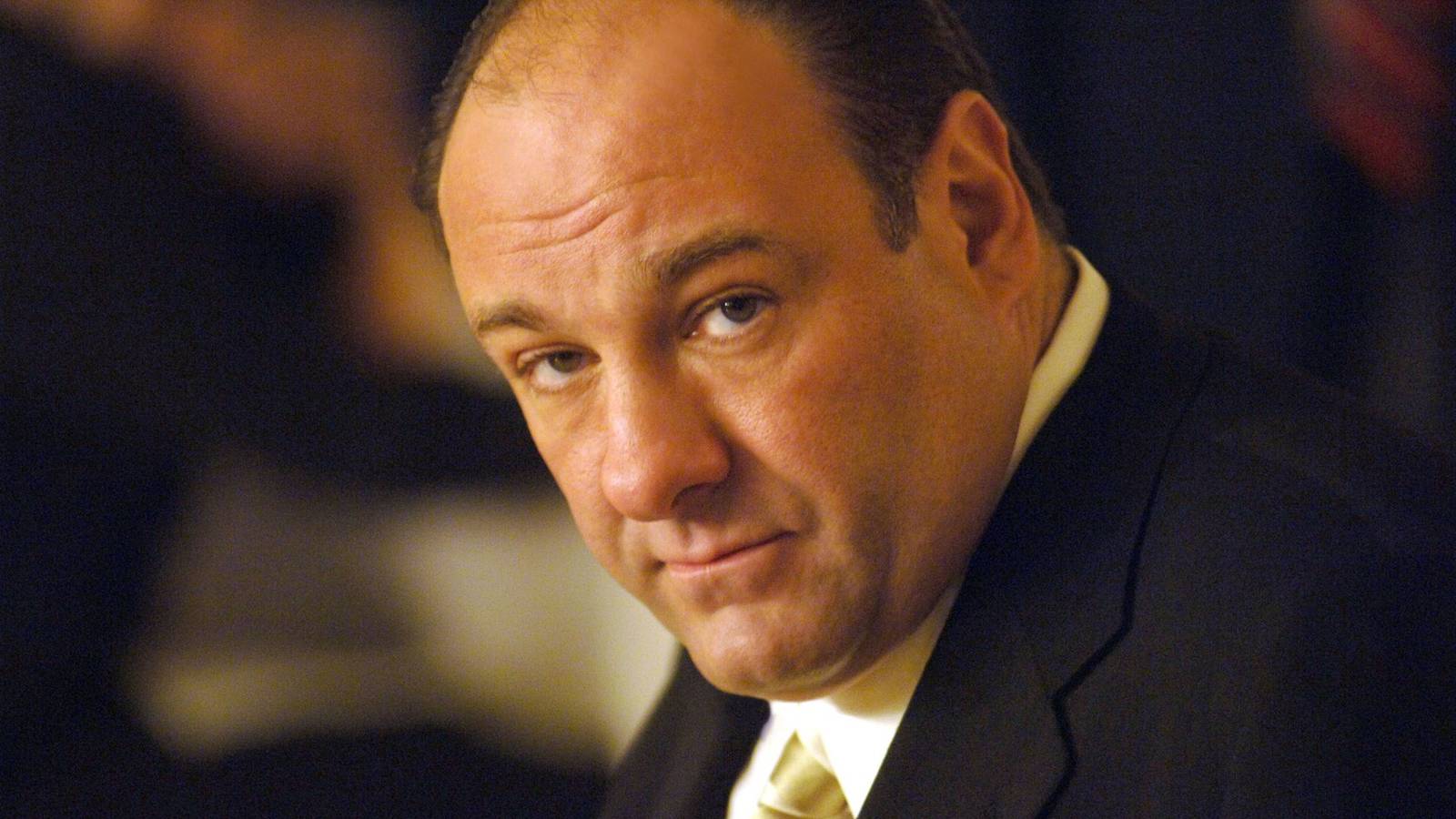 The Sopranos Star Finally Weighs In on Key Fan Theory About the Finale