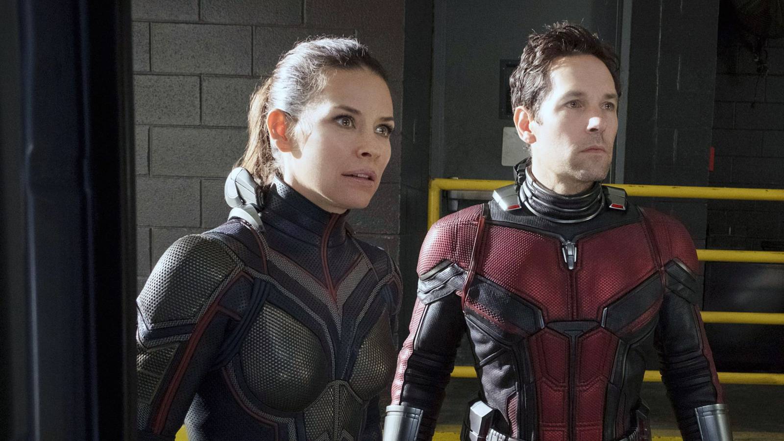 Ant-Man and the Wasp: Quantumania Star Officially Confirms Avengers ...