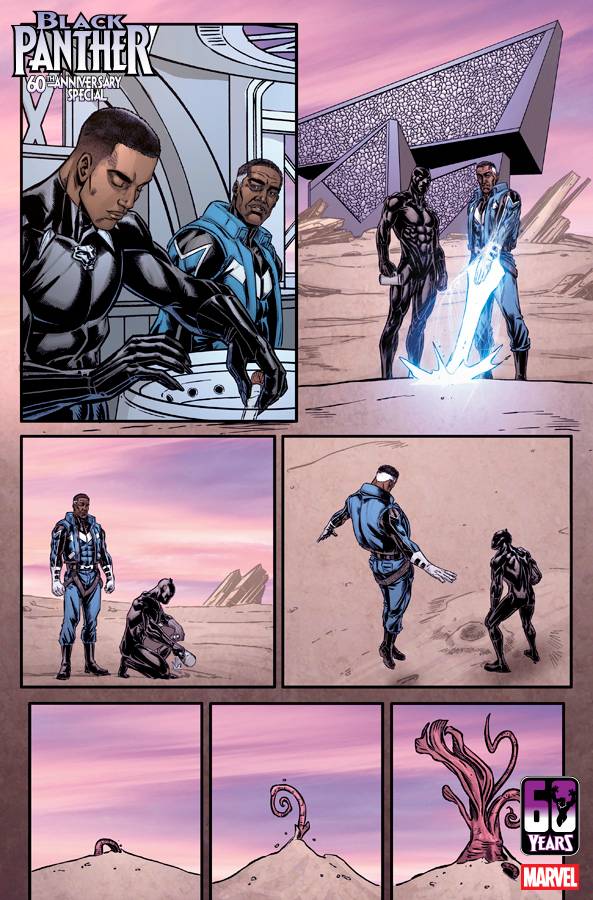 BLAP60TH2026001B003_col