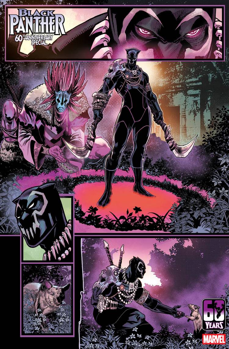 BLAP60TH2026001D002_col