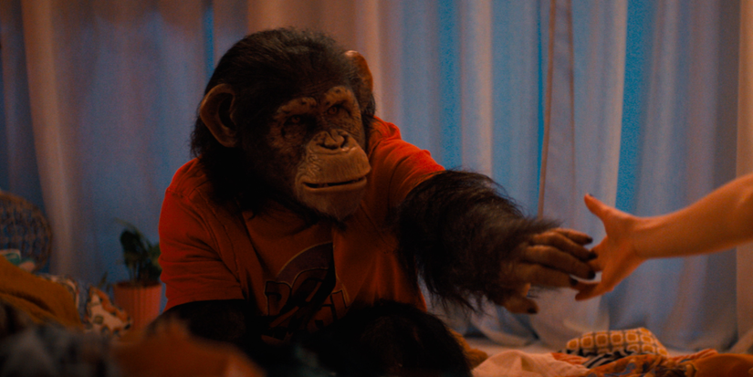 Horror Movie Primate Becomes an Instant Streaming Success on Paramount+