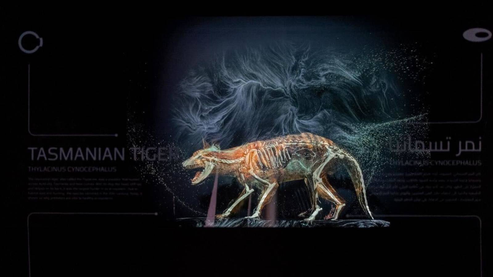 The Company That Resurrected Dire Wolves Is Making a Real Noah's Ark to ...