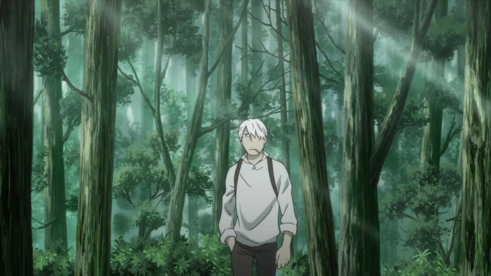 Ginko wanders the woods in Mushishi.